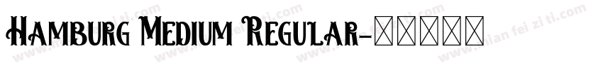 Hamburg Medium Regular字体转换